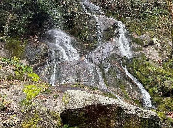 Ri&vale Alojamentos * ויירה דו מיניו